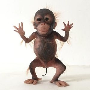 Meet your Posher, Henry